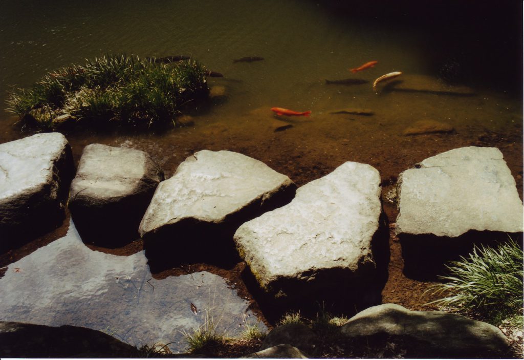 Stepping stones aligned as a path inside a pond